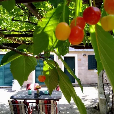 Apartment Apartman Sutivan
